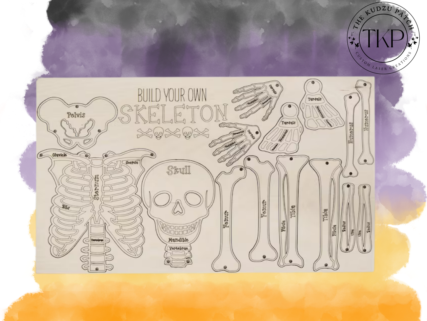 Build Your Own Skeleton Pop Out Kit