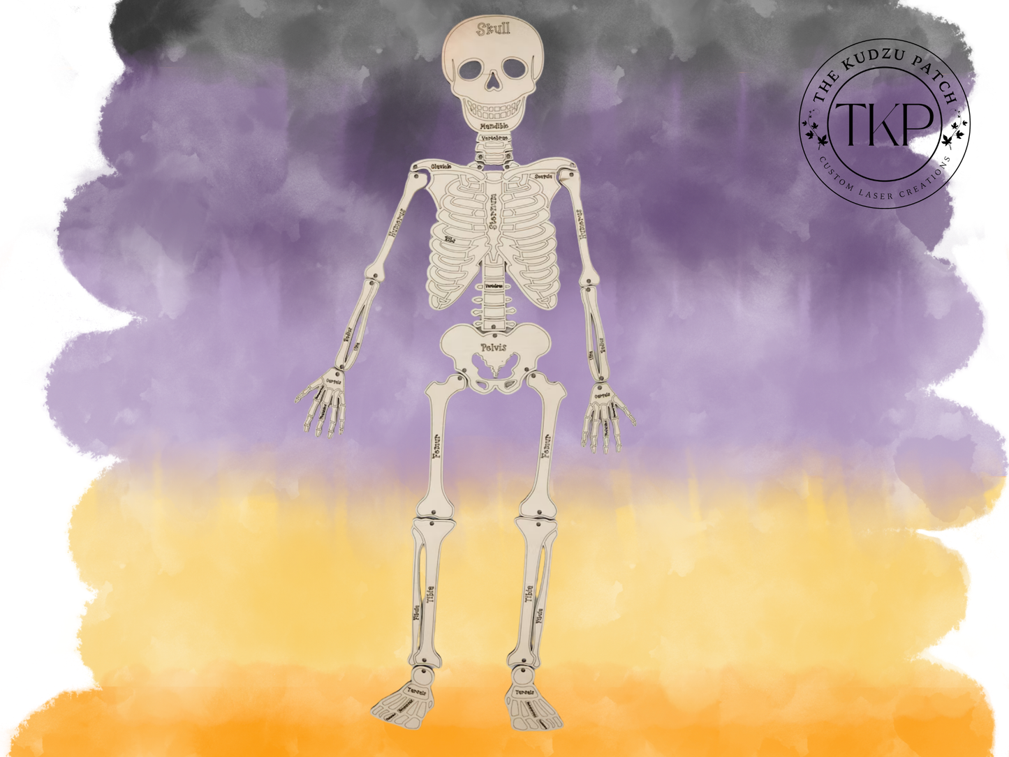 Build Your Own Skeleton Pop Out Kit