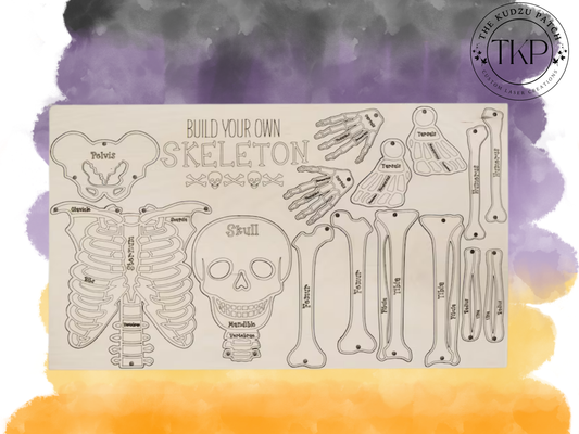 Build Your Own Skeleton Pop Out Kit